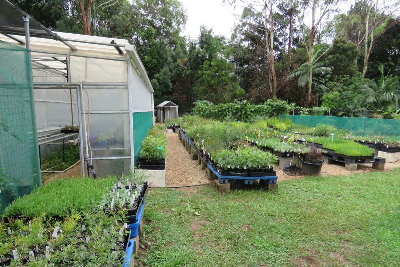 about-greenhouse-on-left